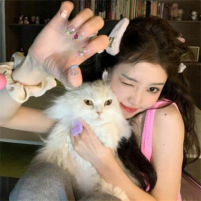猴子的故事封面