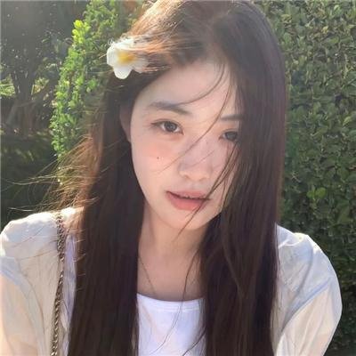朝韩梦之队封面